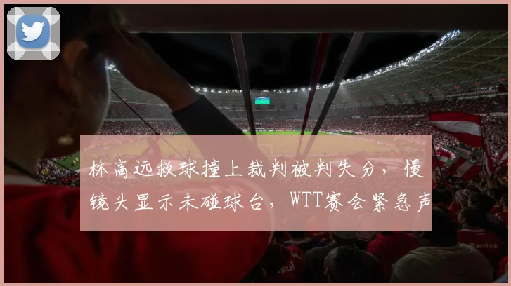 林高远救球撞上裁判被判失分，慢镜头显示未碰球台，WTT赛会紧急声明仍难平争议